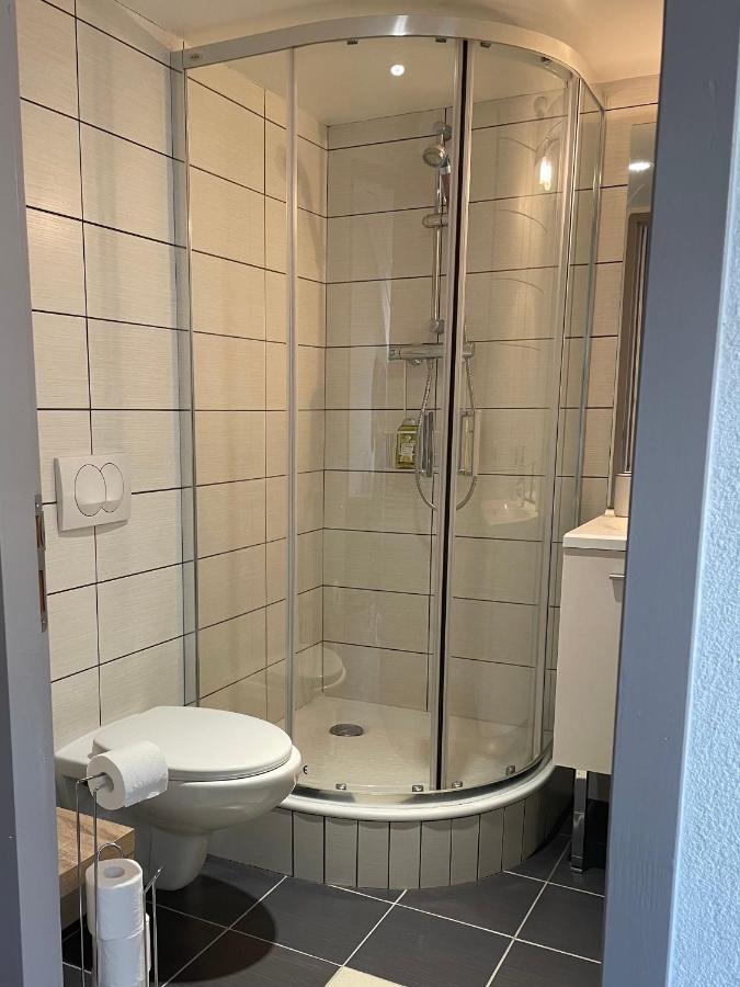 Studio Sous Les Toits Annecy Centre-Ville Eksteriør billede